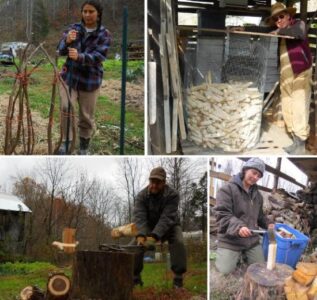 Protecting Fig Trees from Cold and Best Wood Chopping Tool Image